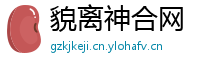 貌离神合网